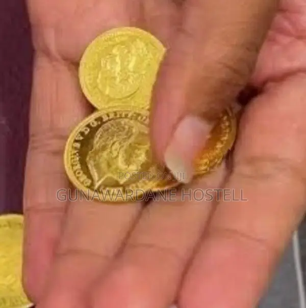 Gold Coins 1g