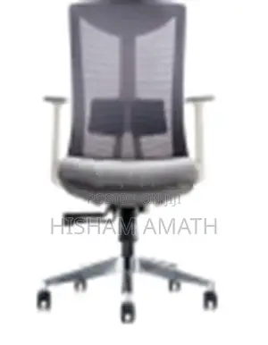 Office Home Chairs