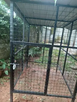 Dog Cage