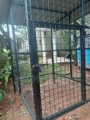 Dog Cage
