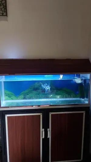 Fishtank With Filter Light 3.5ft
