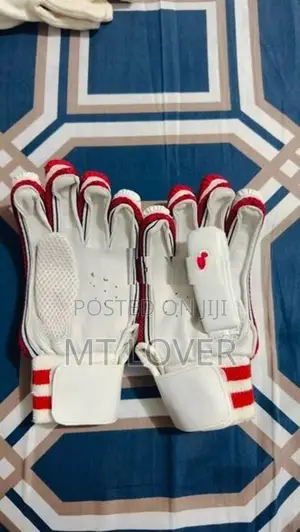 Gloves