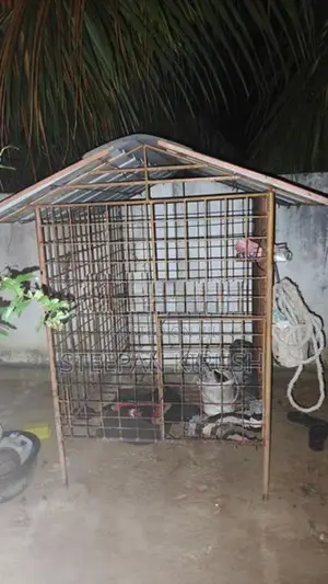 Dog Cage