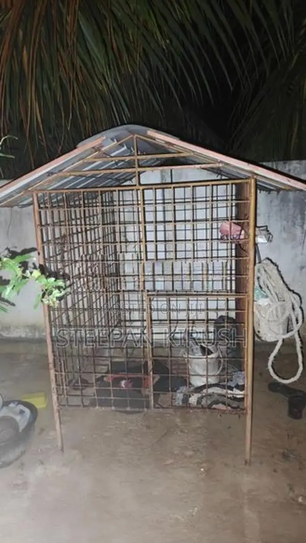 Dog Cage