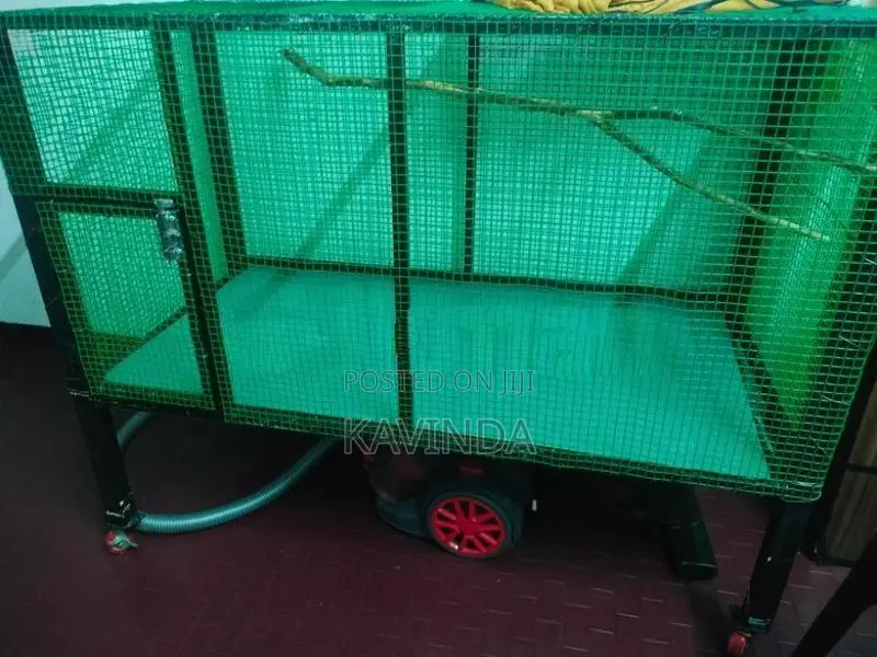 Bird Cage