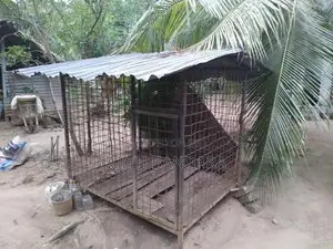 බලු කූඩුවක්