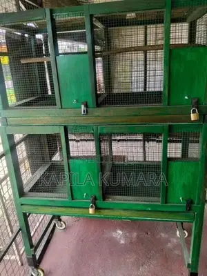 Birds Cage