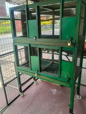 Birds Cage