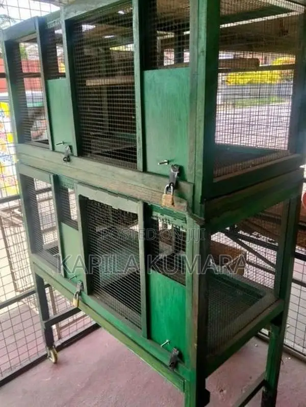 Birds Cage