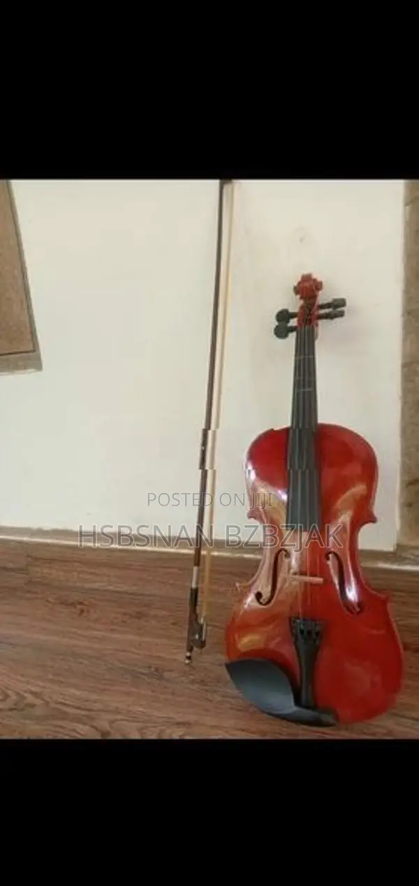 වයලීනය