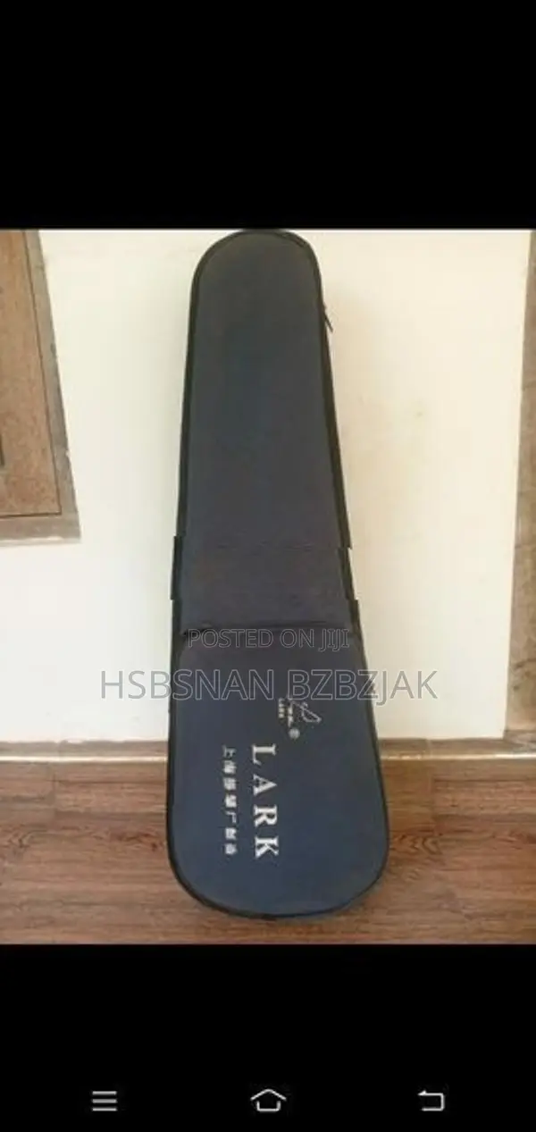 වයලීනය