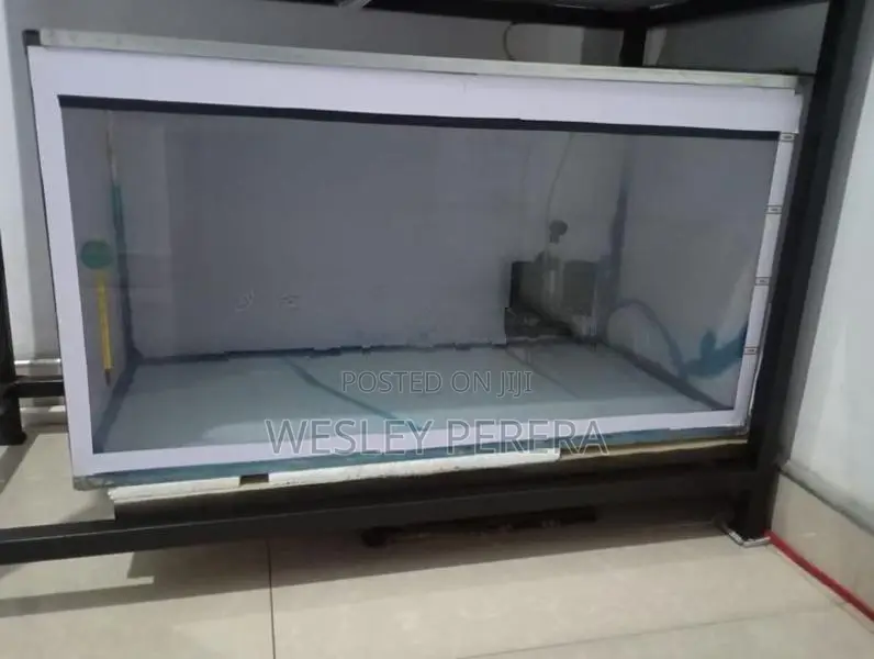 2 Fish Tanks