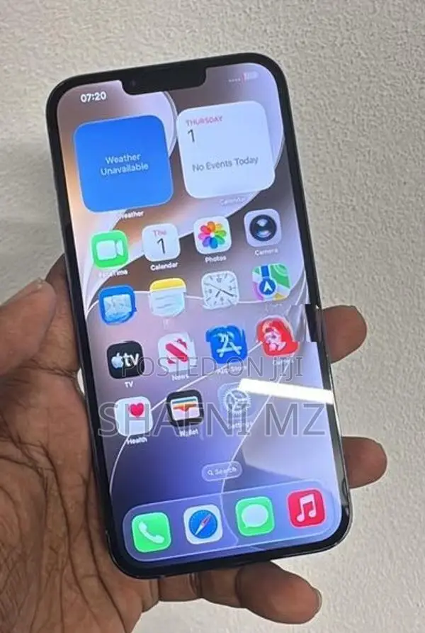 Apple iPhone 13 Pro Max (Used)