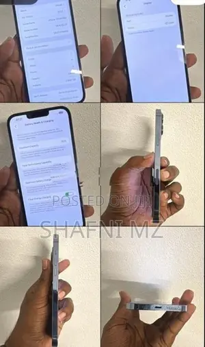 Apple iPhone 13 Pro Max (Used)