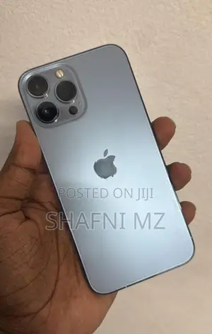 Apple iPhone 13 Pro Max (Used)