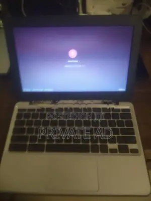 C202S ASUS Chromebook