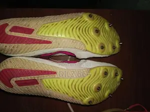 Nike Zoom Rival Sprint