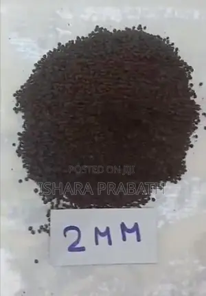 Fish Food