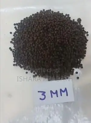 Fish Food