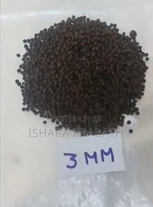 Fish Food