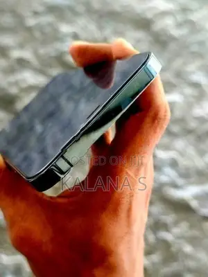 Apple iPhone 12 Pro Max (Used)