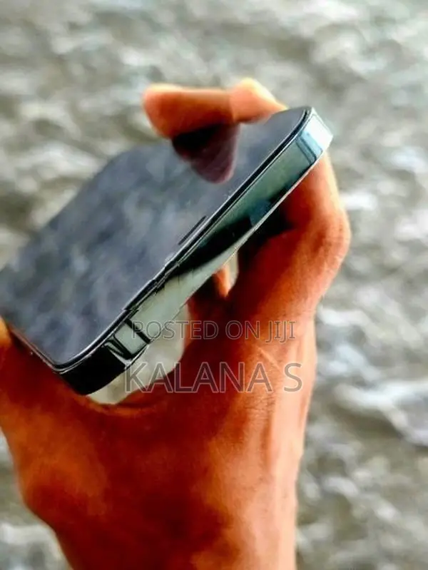 Apple iPhone 12 Pro Max (Used)