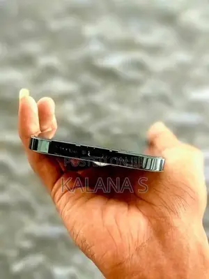 Apple iPhone 12 Pro Max (Used)