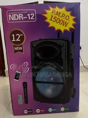 Karaoke Speaker