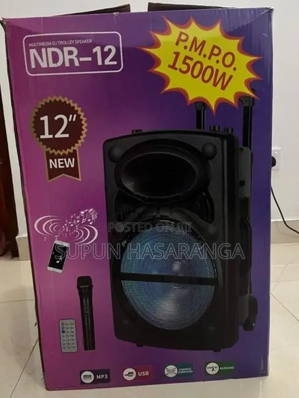 Karaoke Speaker