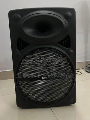 Karaoke Speaker