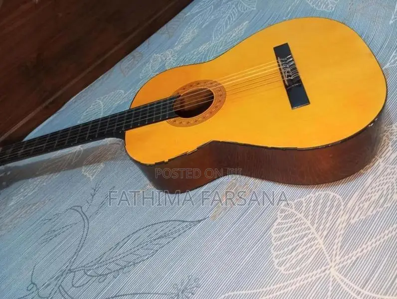 Hand Made Starfire Guitar