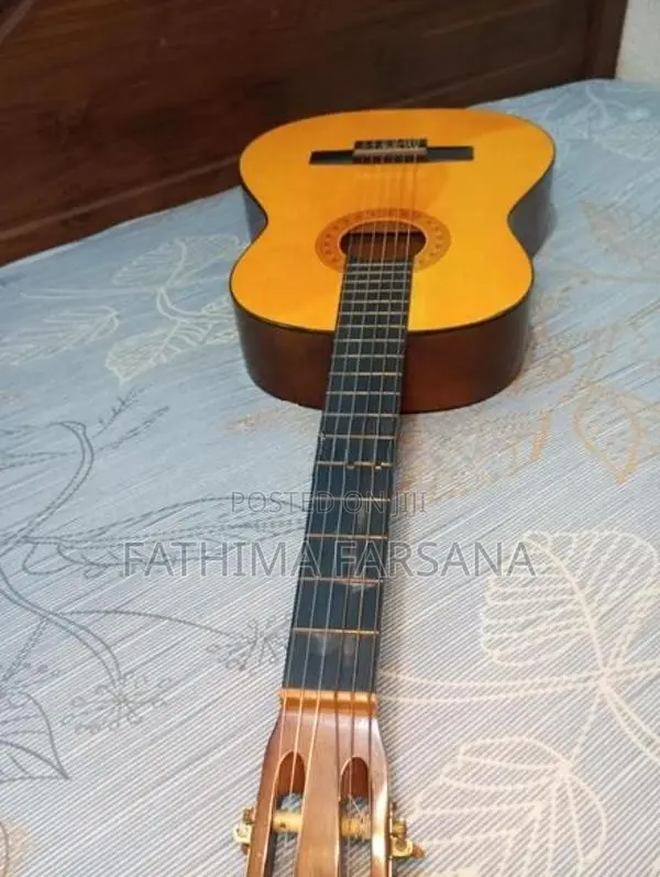 Hand Made Starfire Guitar
