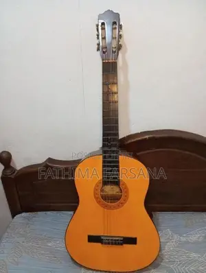 Hand Made Starfire Guitar