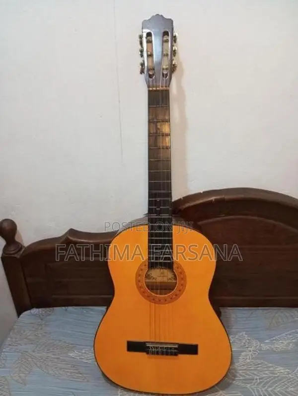 Hand Made Starfire Guitar