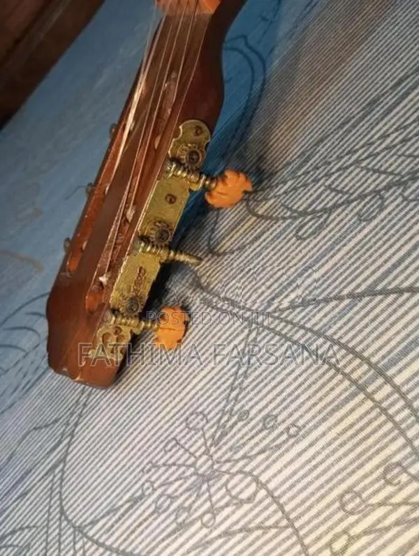 Hand Made Starfire Guitar