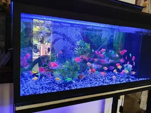 Fish Tank