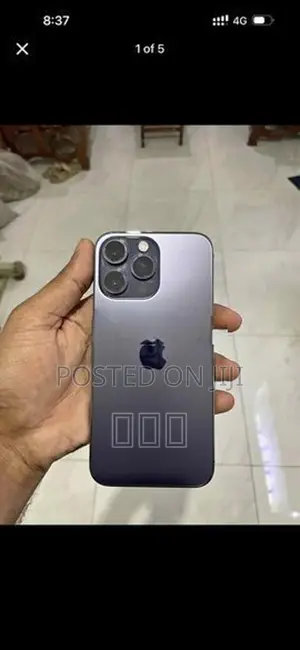 Apple iPhone 13 Pro Max (Used)