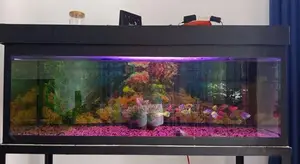 4 Feet Fish Tank