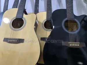 Semi Acostic Guitar