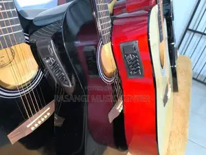Semi Acostic Guitar