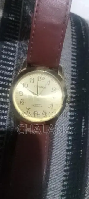 Citizen Watch
