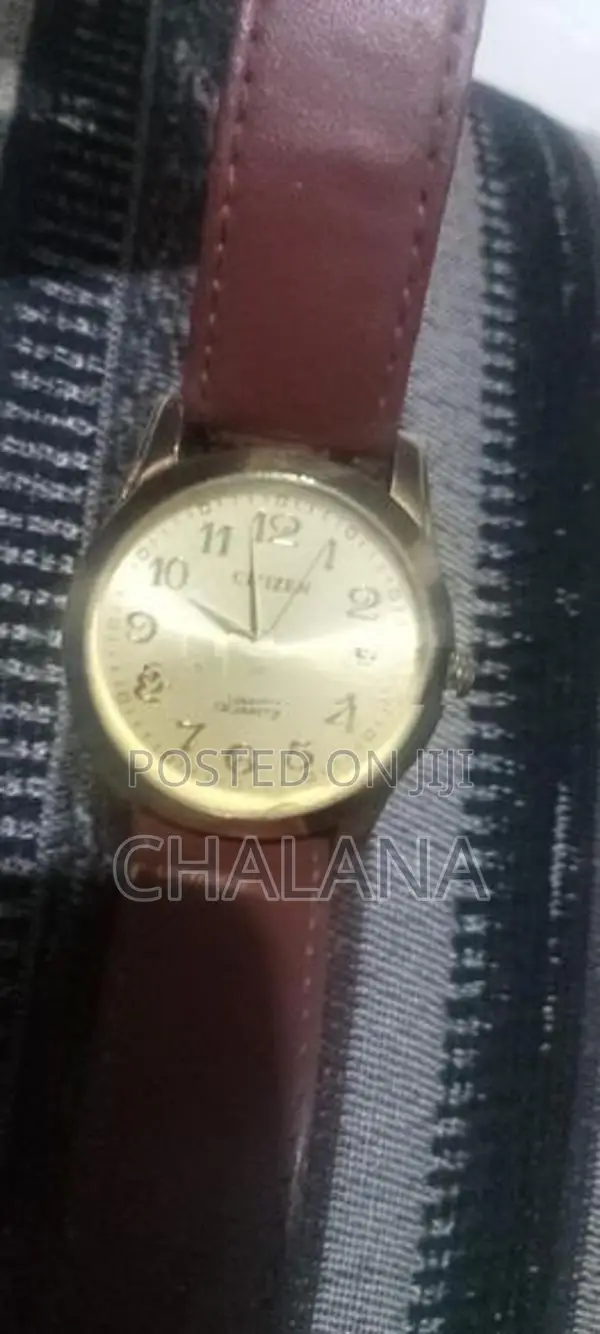 Citizen Watch