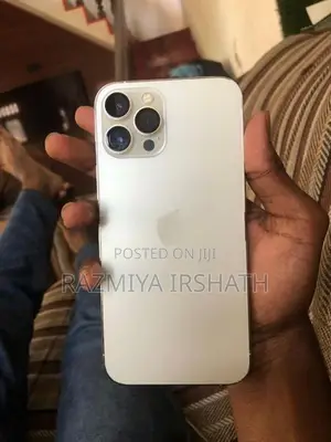 Apple iPhone 12 Pro Max (Used)