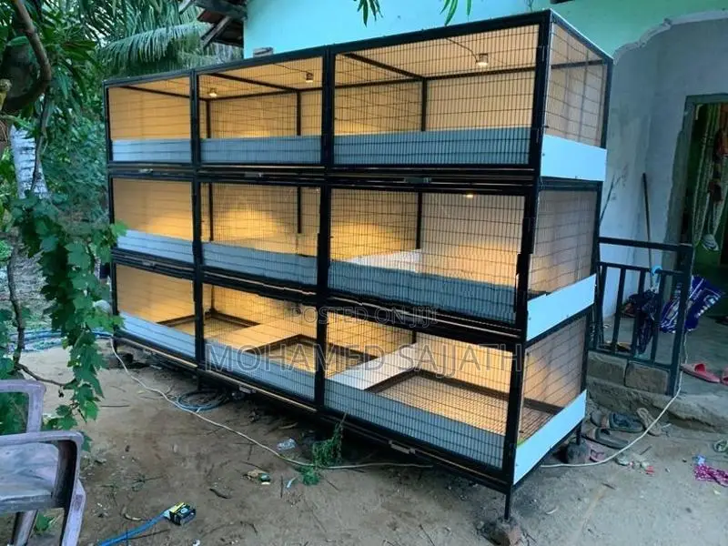 Bird House