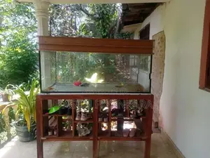 ව්දුරු ටැන්කිය
