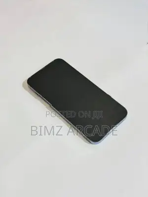 Apple iPhone 13 Pro Max 128GB (Used)