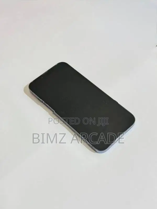 Apple iPhone 13 Pro Max 128GB (Used)