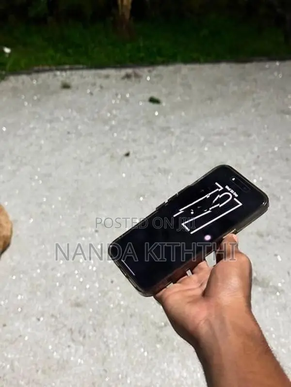 Apple iPhone 15 Pro Max (Used)