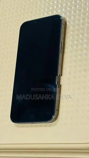 Apple iPhone 13 Pro Max (Used)