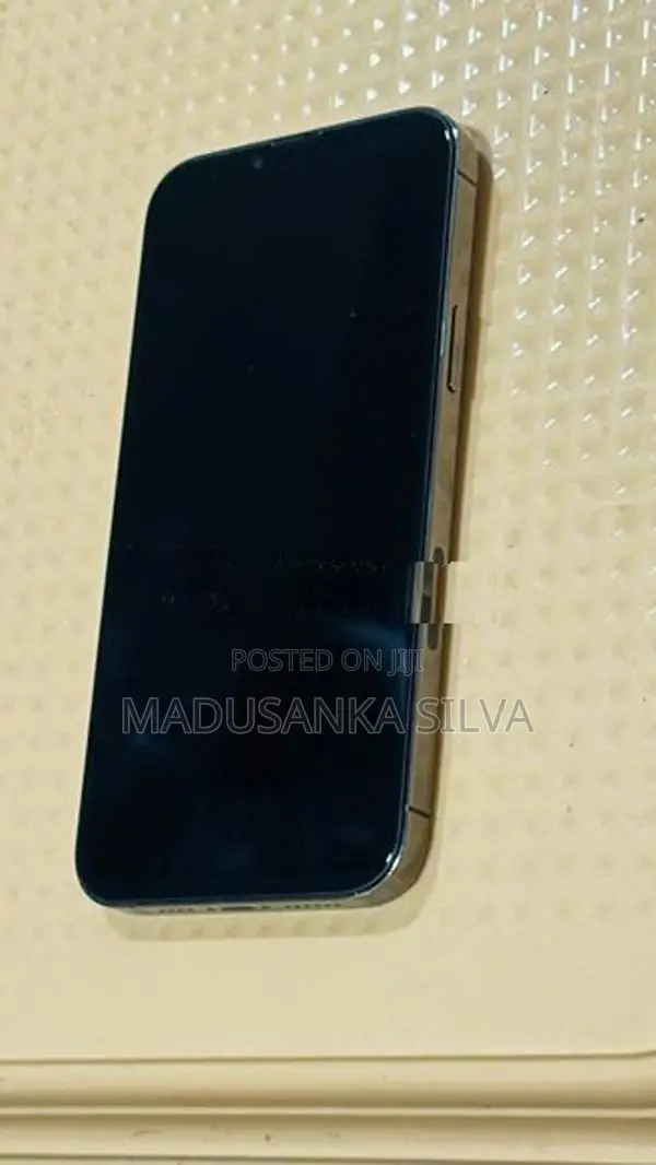 Apple iPhone 13 Pro Max (Used)